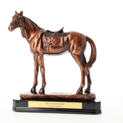 Bronze Track Champion Horse 275mm