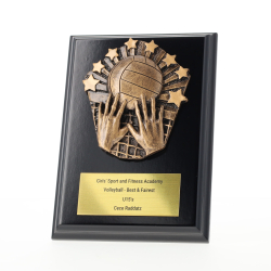 Cosmos Volleyball Black Plaque 150mm