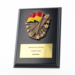 Cosmos Lifesaving Black Plaque 150mm