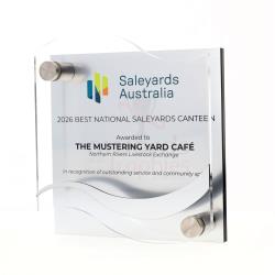 Wave Acrylic Plaque 190mm