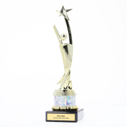 Star Achievement Silver 255mm