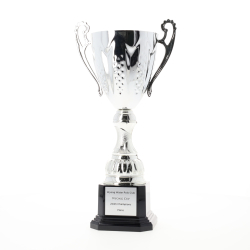 Bordeaux Cup Silver 304mm