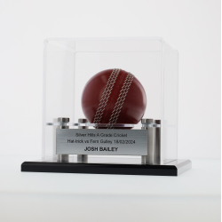 Cricket Ball Display Case