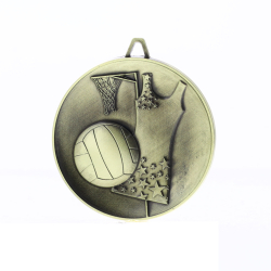 Budget Heavyweight Netball 60mm