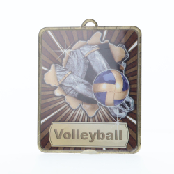 Lynx Medal Volleyball 75mm