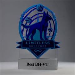 Custom Awards