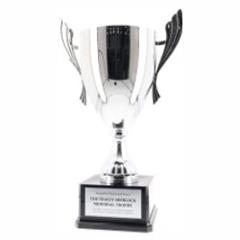 Metal Cups