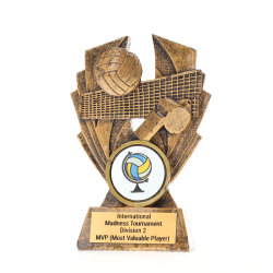 Hawk Series Volleyball 100mm