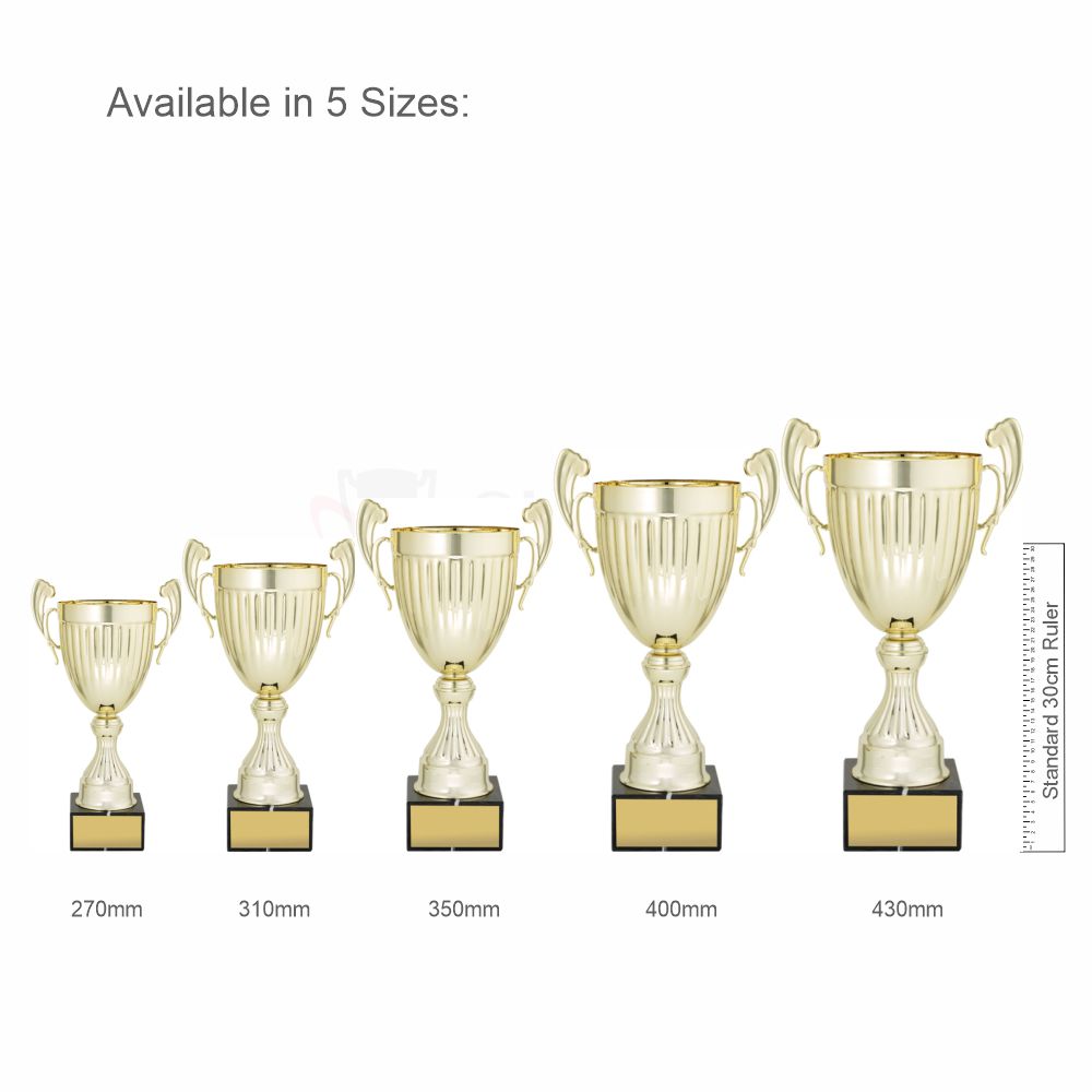 Endeavour Cup Gold 310mm