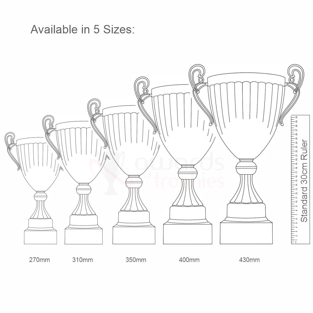 Endeavour Cup Silver 400mm