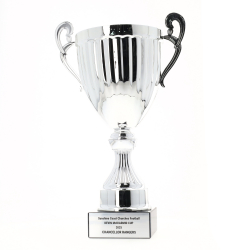 Endeavour Cup Silver 400mm