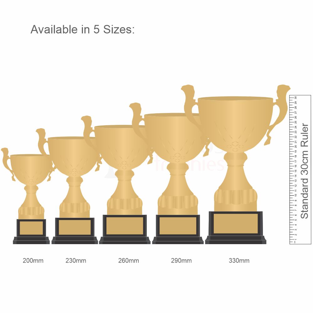 Italian Made Turin Cup Gold 260mm