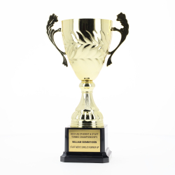 Eternal Cup Gold 235mm