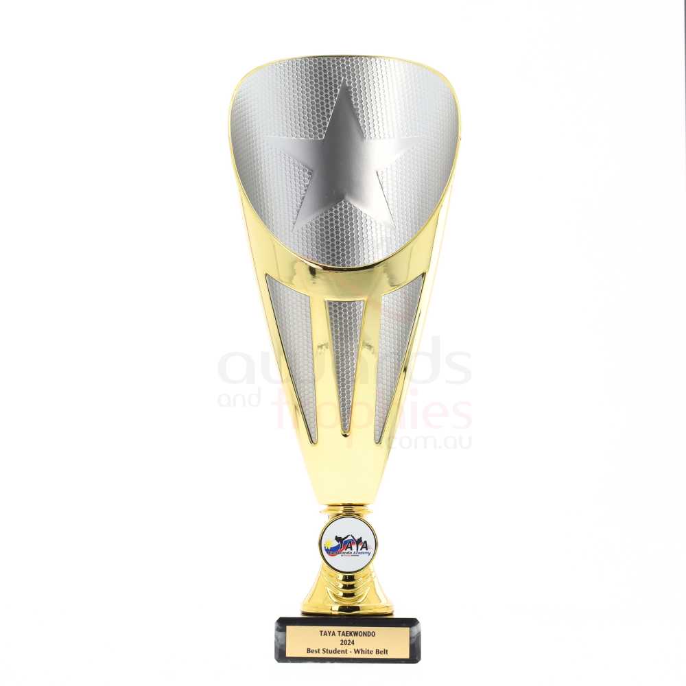 Dianna Cup Gold/Silver 310mm