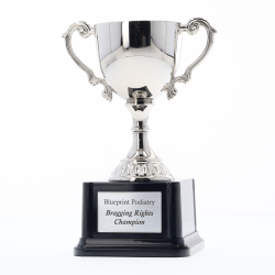 Canterbury Series Cup - 295mm