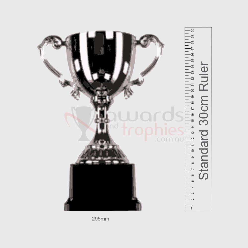 Canterbury Series Cup - 295mm