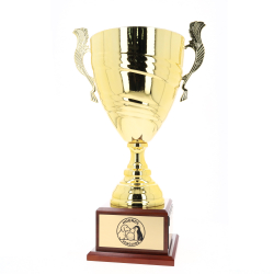 Italian Made Gold Spiral Perpetual Cup