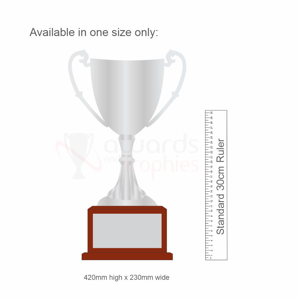 Nickel Plated Perpetual Cup