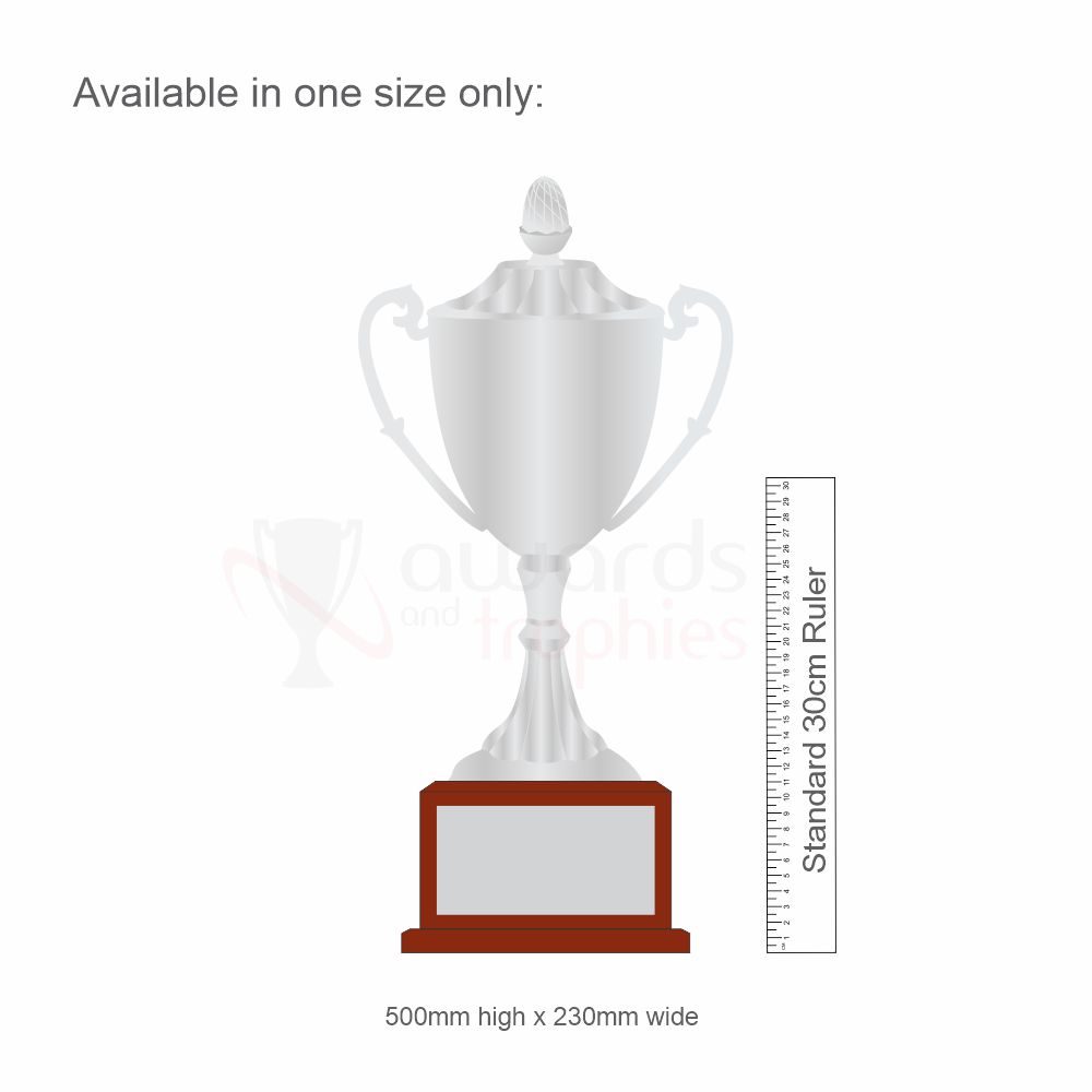 Nickel Plated Perpetual Cup with Lid 500mm