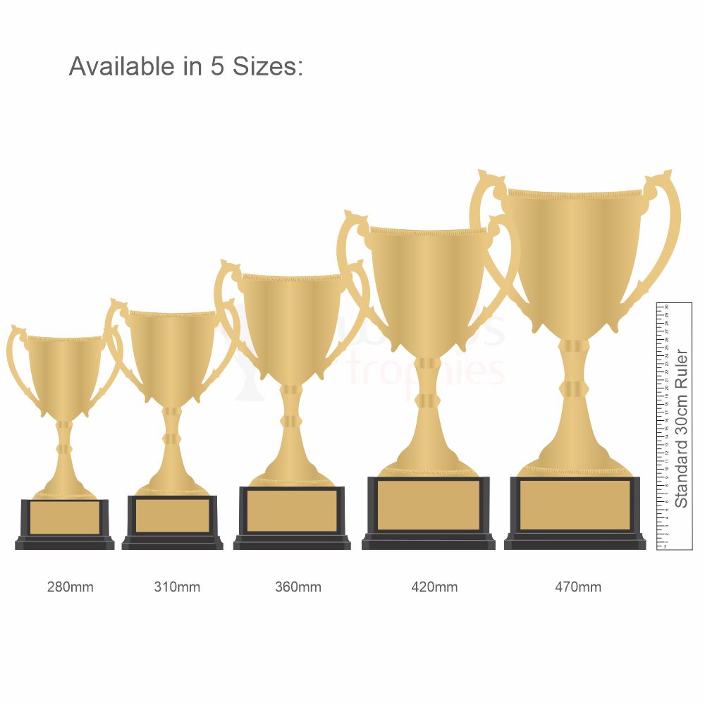 Honour Nickel Plated Gold Cup 470mm