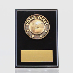 Spartan Volleyball Black Plaque 150mm