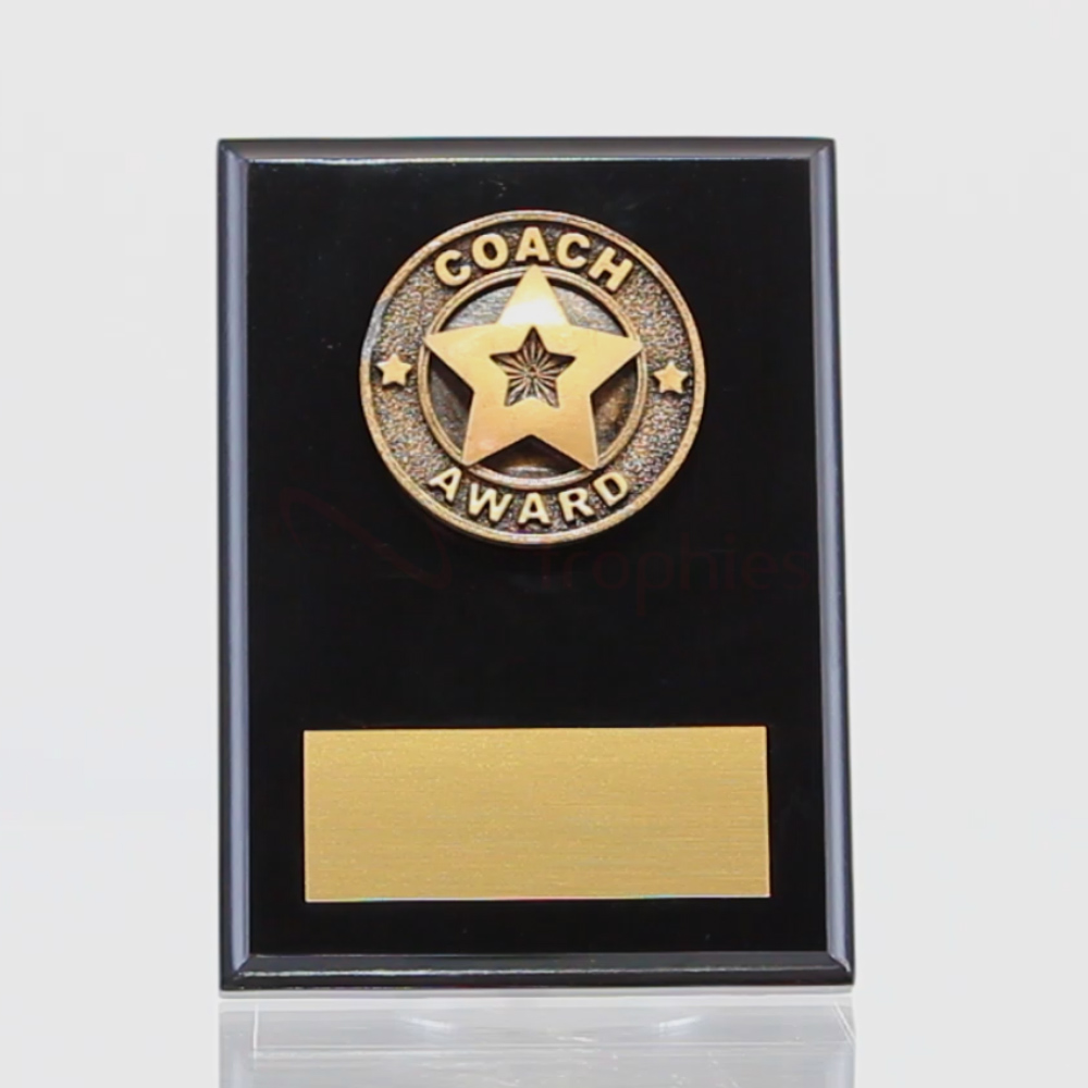 Polaris Coach Plaque 150mm