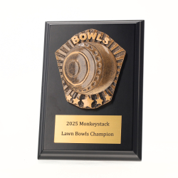Cosmos Bowls Black Plaque 150mm