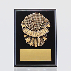 Cosmos Squash Black Plaque 150mm