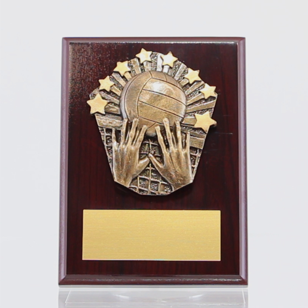 Cosmos Volleyball Walnut Plaque 150mm