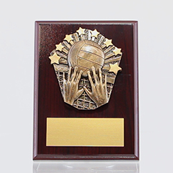 Cosmos Volleyball Walnut Plaque 150mm