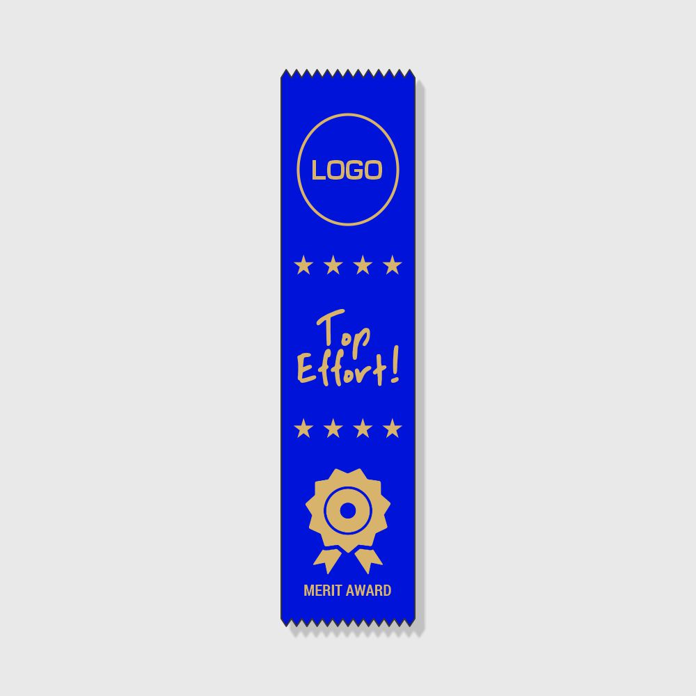 Orion Series Top Effort Merit Award