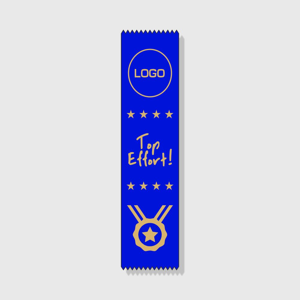Orion Series Top Effort Medal
