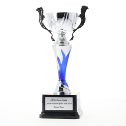 Blue Flame Cup 270mm