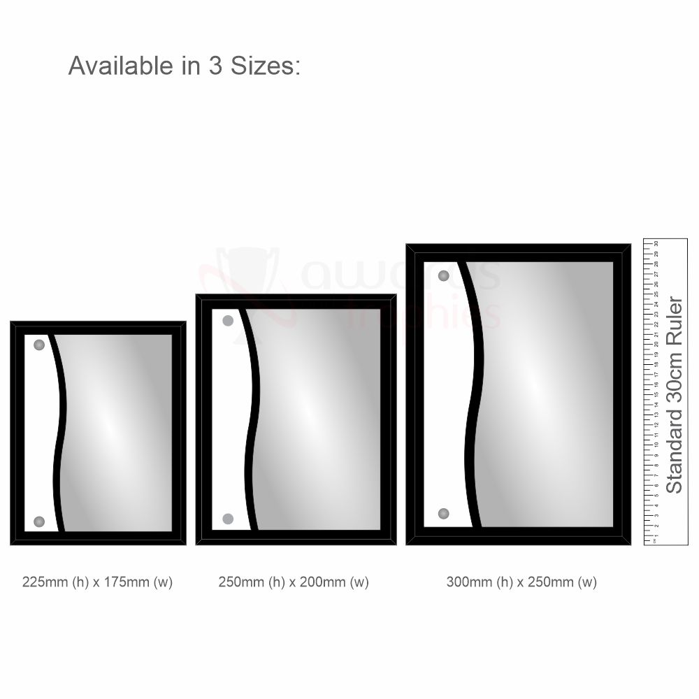 Accolade Series - Excellence Plaque 300mm