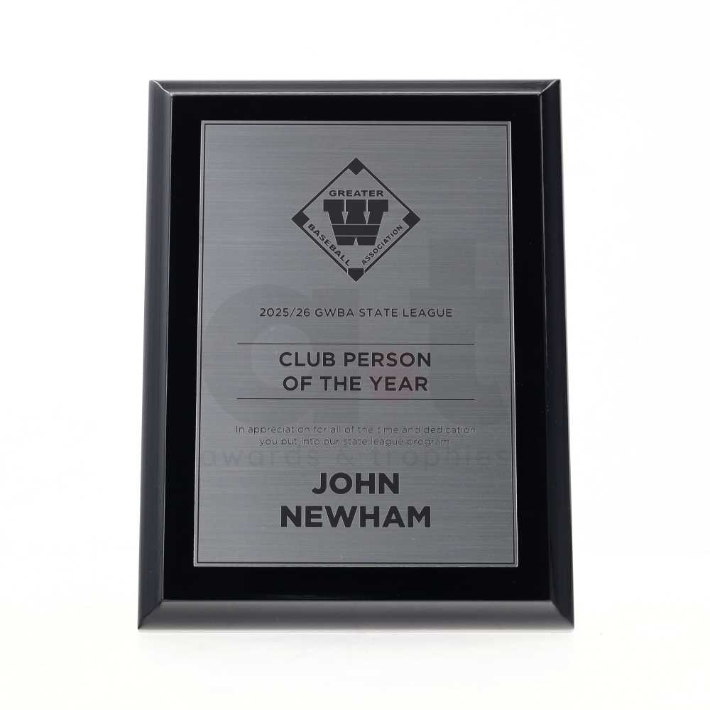 Budget Gloss Black Plaque - Silver 250mm