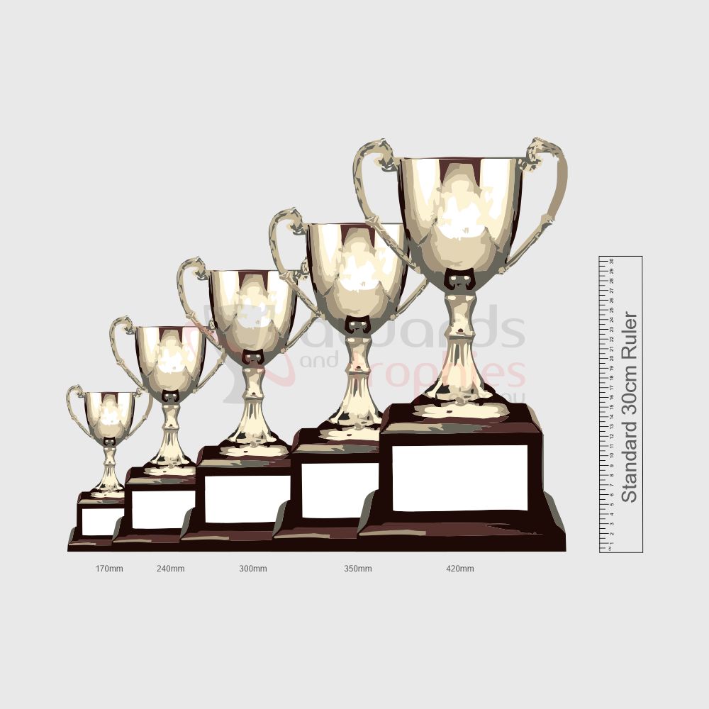 Nickel Plated Cups 420mm