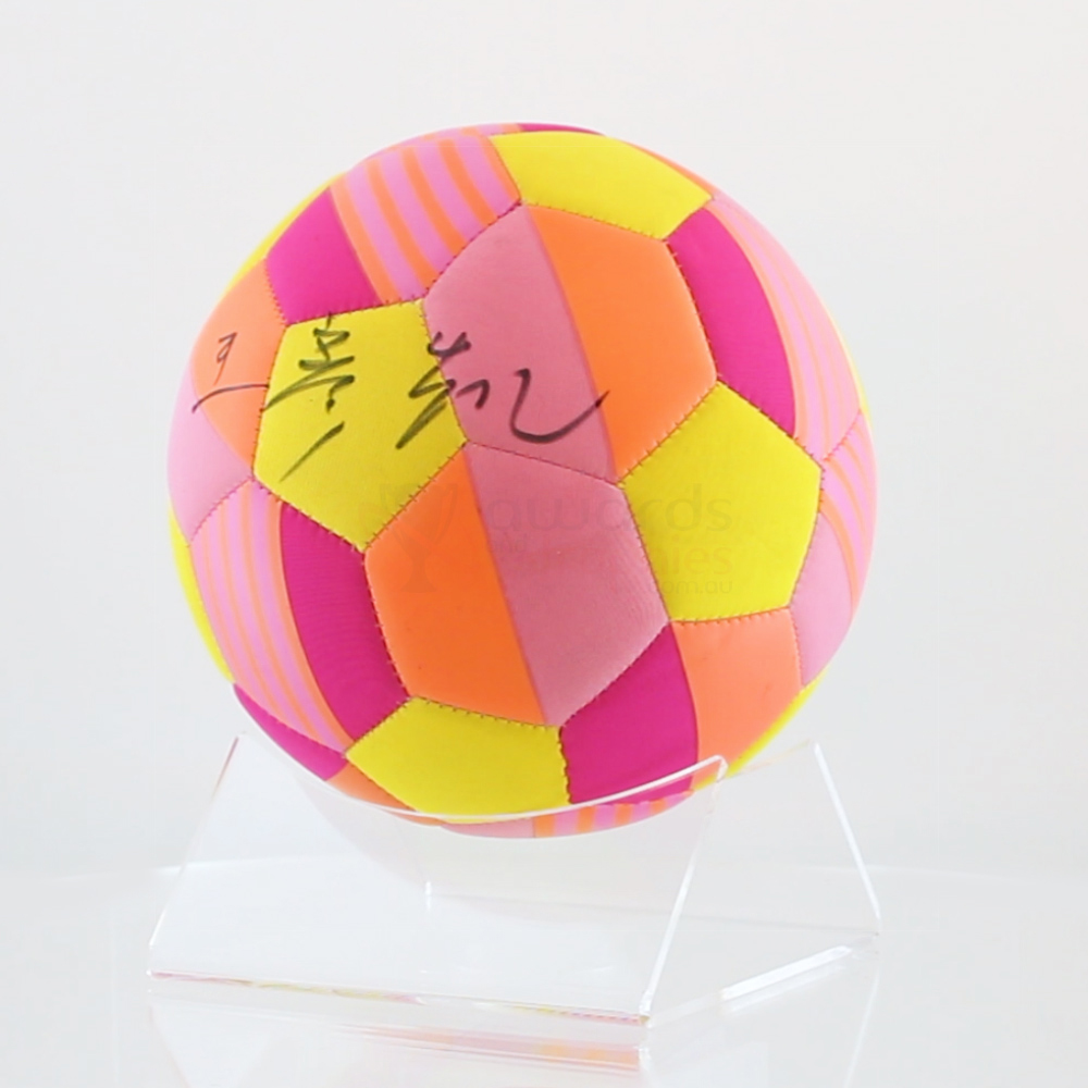 Volleyball Acrylic Display Stand