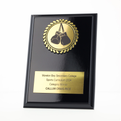 Boxing Plaque 150mm