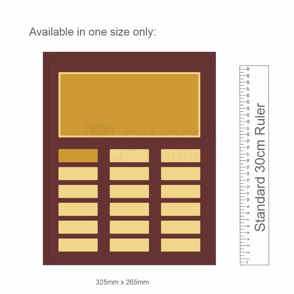 Assembly Plaque Banner Gold 325mm