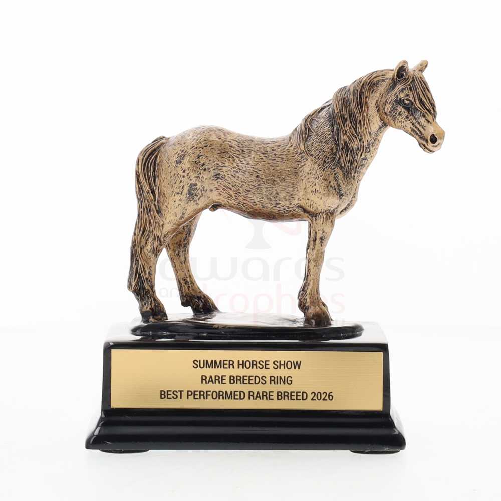Horse on Base 120mm