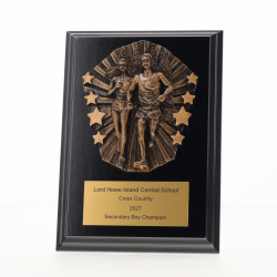 Cosmos Cross Country Black Plaque 150mm