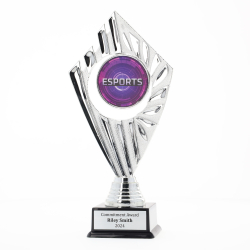 Flyer Esport H 220mm
