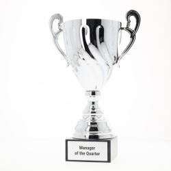 Fidelity Cup Silver 285mm