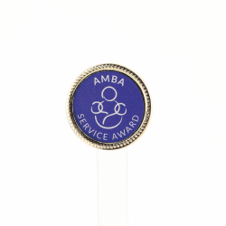 Gold Lapel Pin 28mm