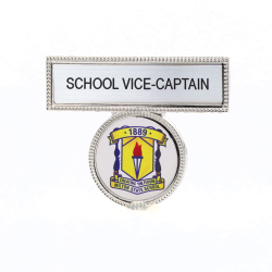 Silver Pin with Logo