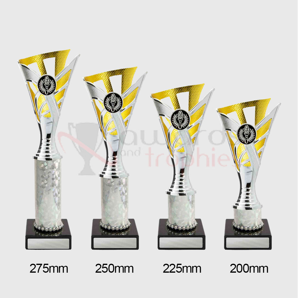 Palma Cup Silver/Gold 225mm