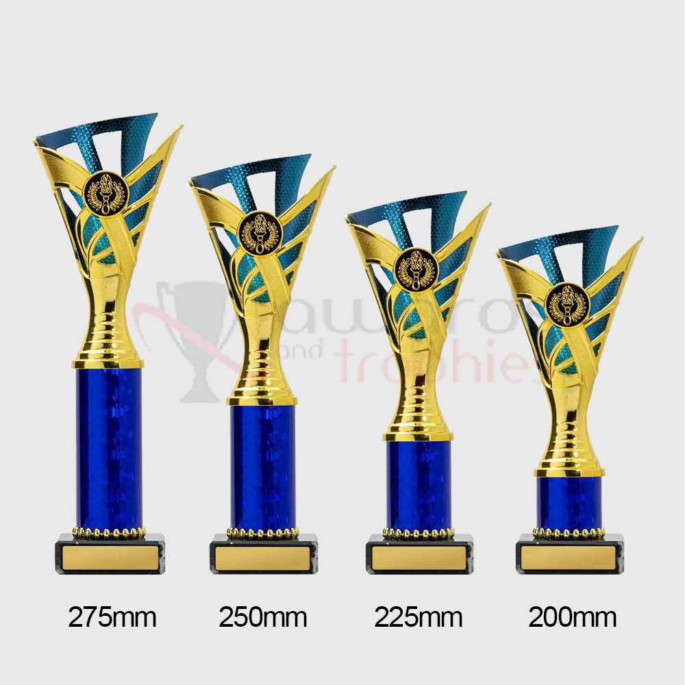 Palma Cup Gold/Blue 250mm