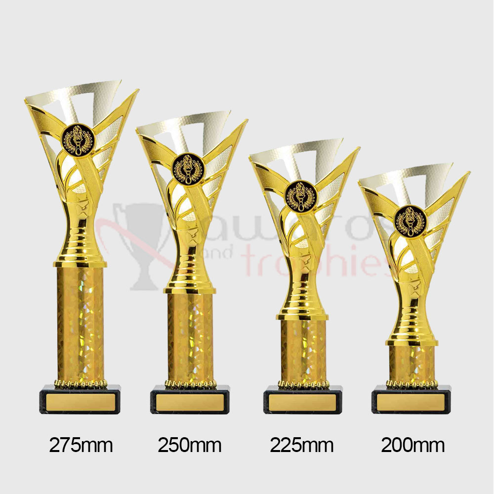 Palma Cup Gold/Silver 250mm