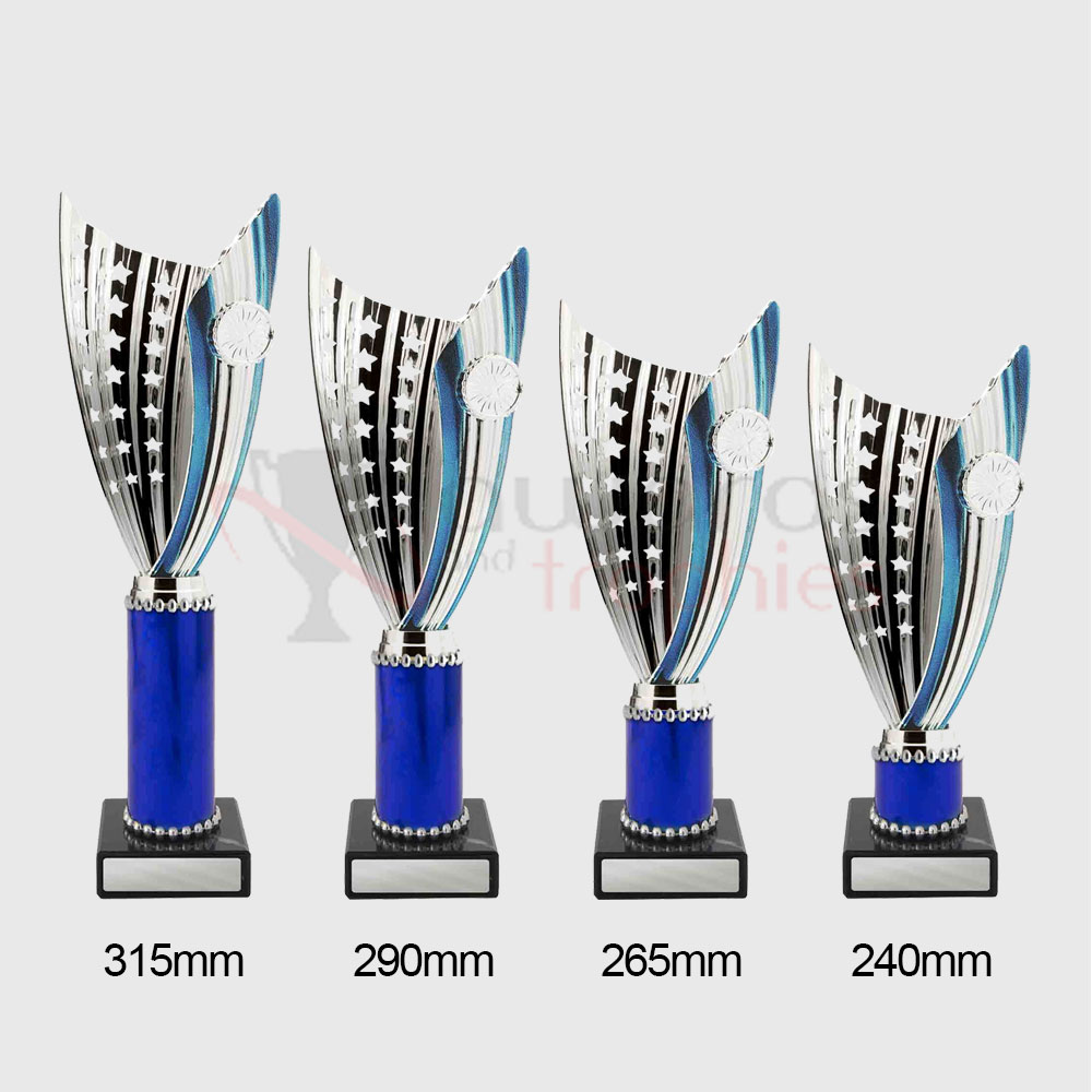Zanzi Cup Silver/Blue 290mm