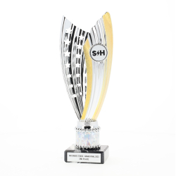 Zanzi Cup Silver/Gold 240mm